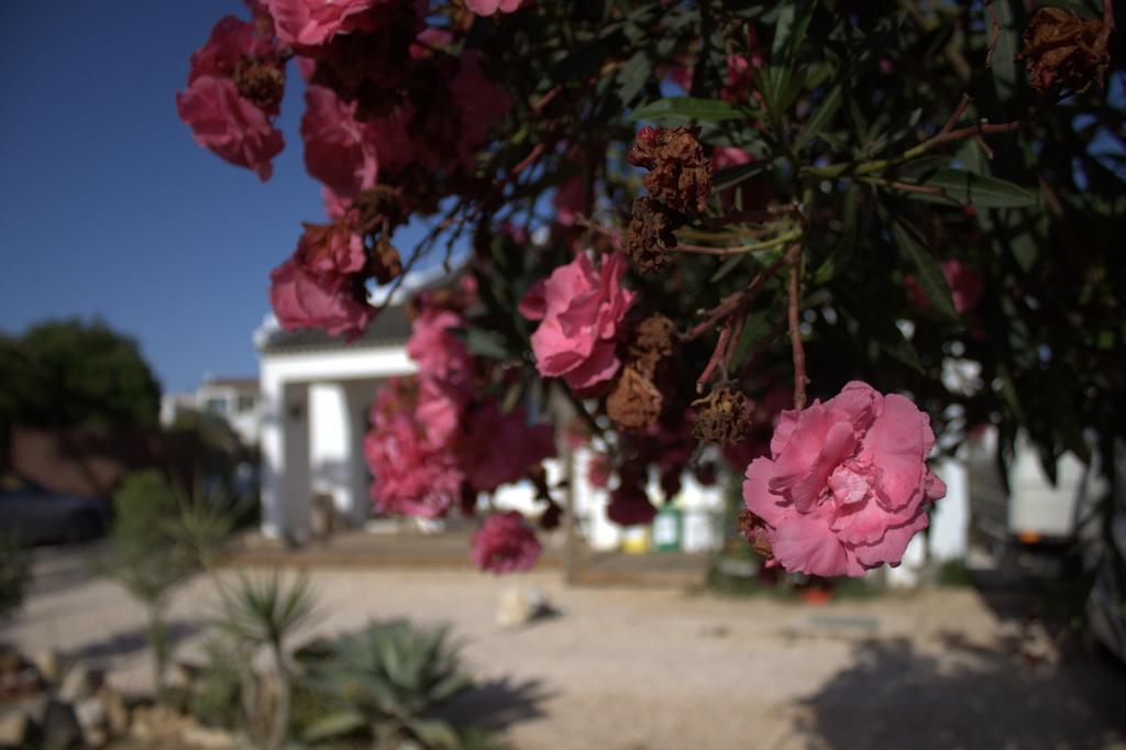 Puravida Divehouse Bed and Breakfast Sagres Buitenkant foto